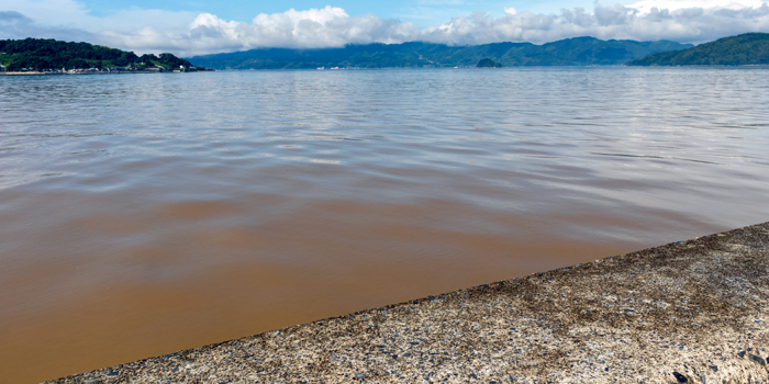 brown_sea1