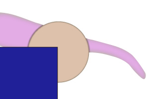 cut_14