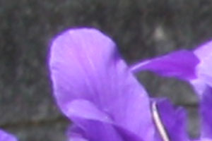cut_15