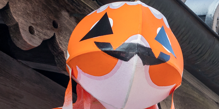 hallokin1