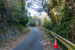 iinoyama7