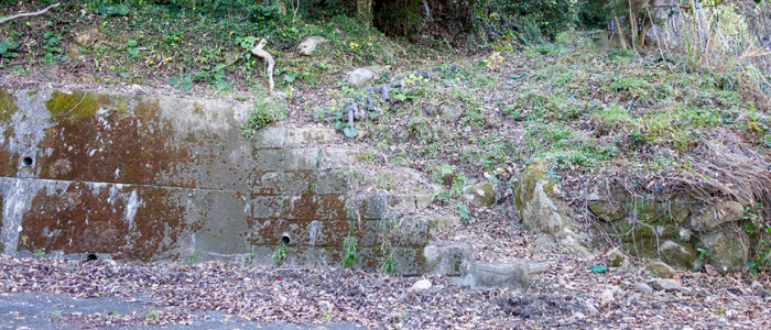 iinoyama8