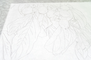 kaki_hone_comp