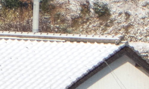 snow_cover2023_4