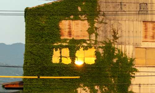sunset_window