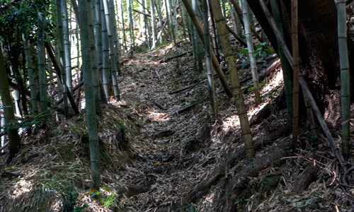 takiiwa15