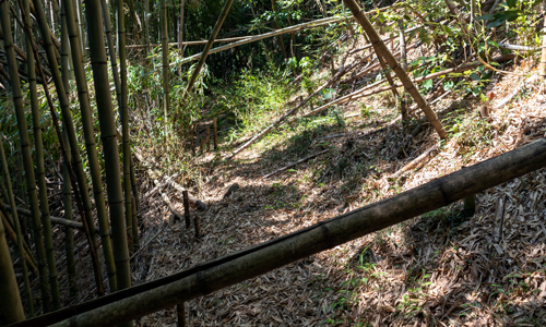 takiiwa16