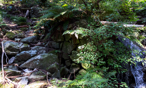 takiiwa18