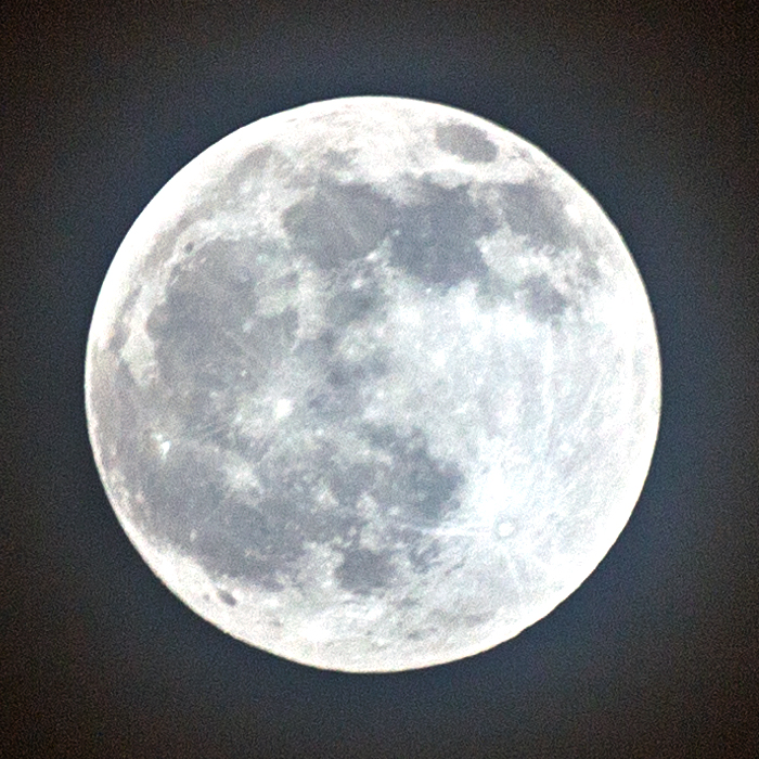 wolfmoon