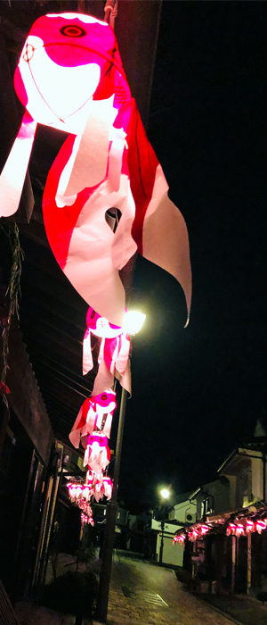 yanai_kingyo2019_4